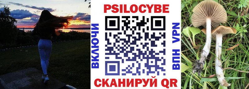 Псилоцибиновые грибы MAGIC MUSHROOMS  Полярный 